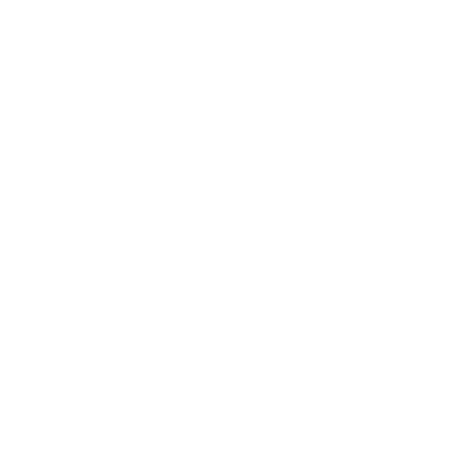 City Pet