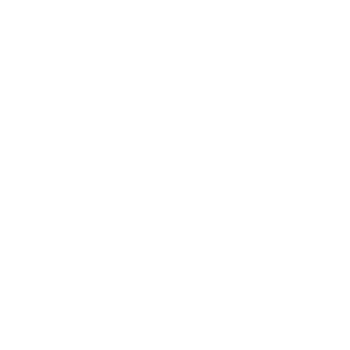 RSA Grupo